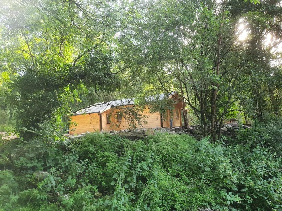 Stunning Log Cabin On The Lake Villa Portroe Luaran gambar